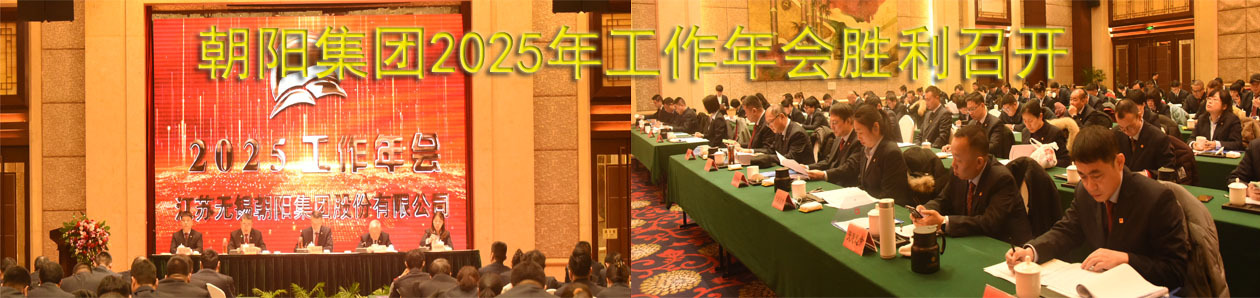 环亚集团集团2025年工作年会胜利召开